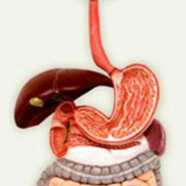 Аватар канала Gastroenterology