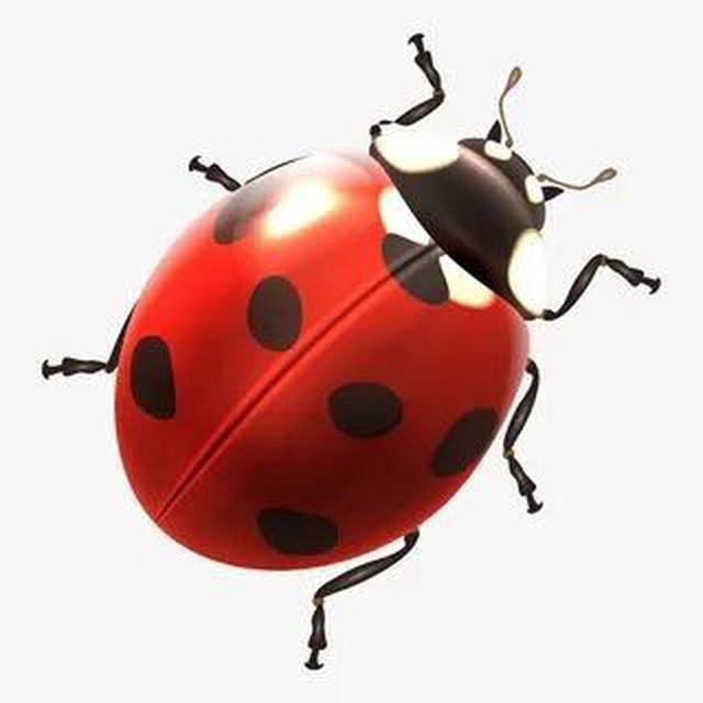 Аватар канала ФСН 🐞 OFFICIAL️