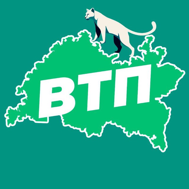 Аватар канала ВТП | В Татарстане Поймут