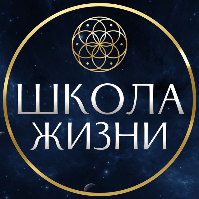 Аватар канала Школа Жизни