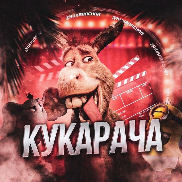 КУКАРАЧА ПРИКОЛЫ