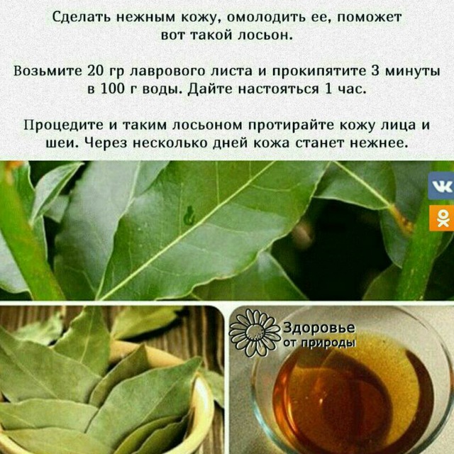 Аватар канала ️ ️ Хитрости ️️
