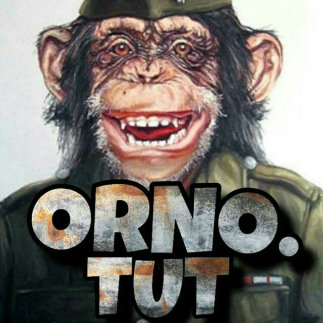 Аватар канала orno.tut