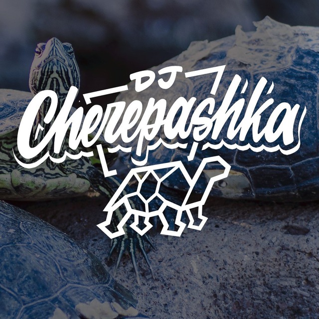 Аватар канала dj cherepashka