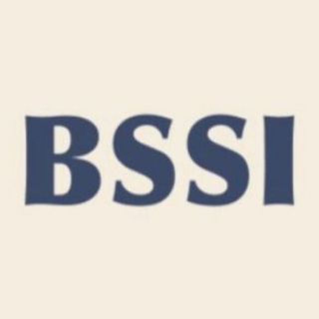 Аватар канала Black Sea Strategy Institute