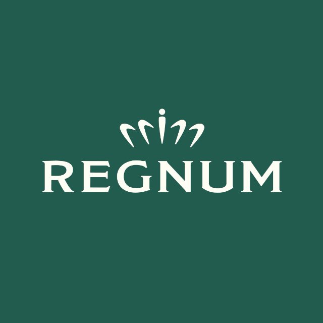 Аватар канала REGNUM