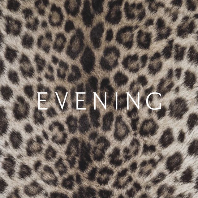 Аватар канала EVENING
