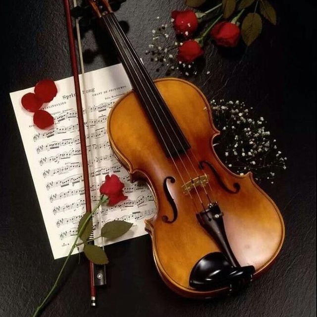 Аватар канала 🎻Классическая музыка