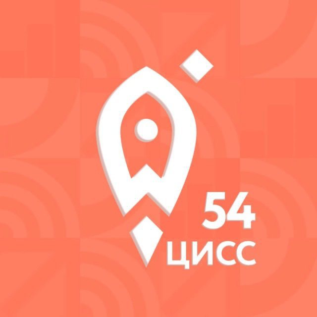 Аватар канала Социальный бизнес 54