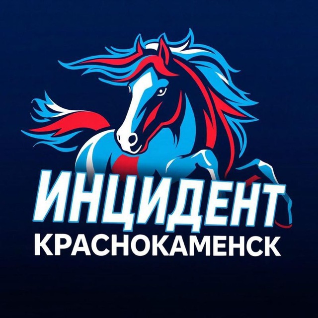 Аватар канала ИНЦИДЕНТ КРАСНОКАМЕНСК