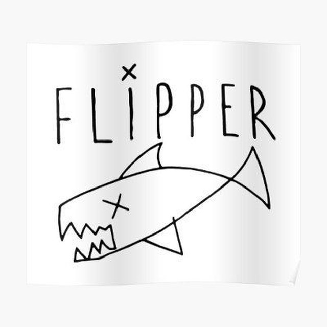 Аватар канала Flipper's place