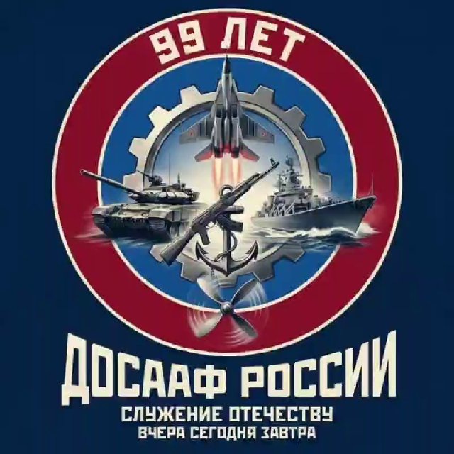 Аватар канала ДОСААФ России
