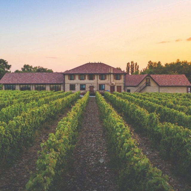 Аватар канала Винотеррия/Nesterov winery