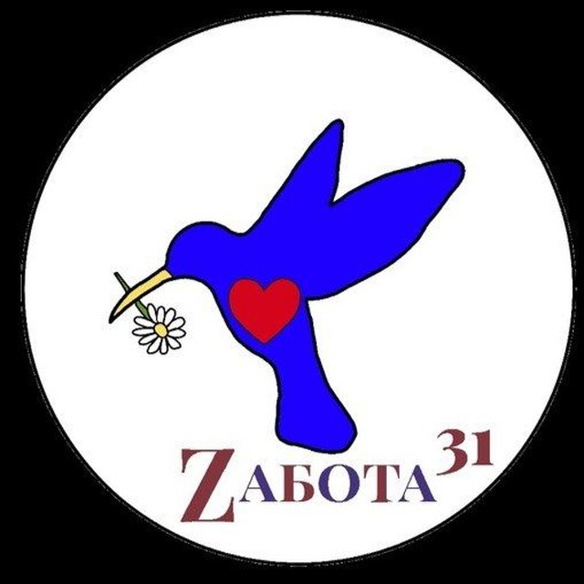 Аватар канала Zабота 31