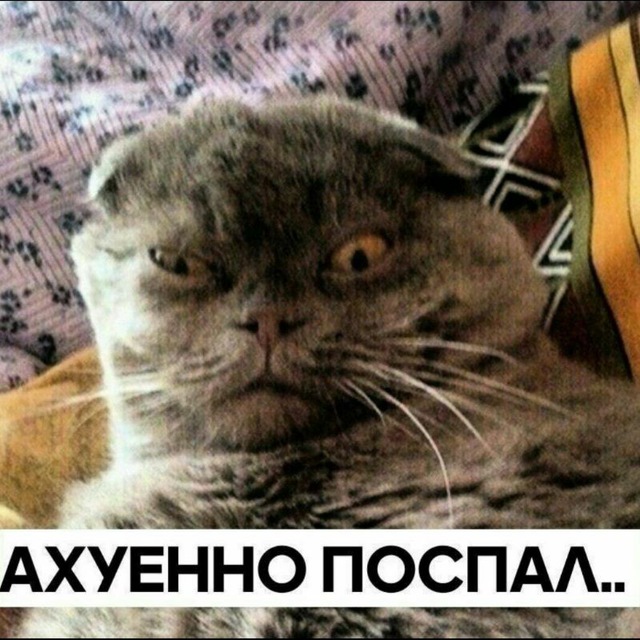 Аватар канала Укуренные козлы