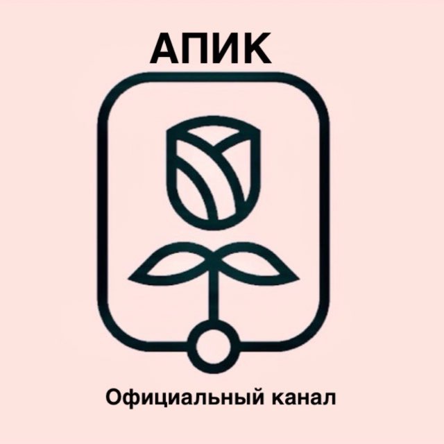 Аватар канала АПИК