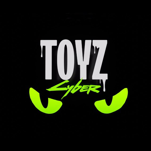Аватар канала TOYZ CYBER