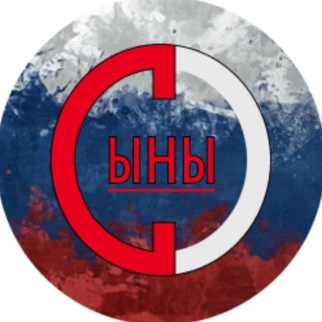 Аватар канала Сыны Отечества|Новости ЛНР здесь!