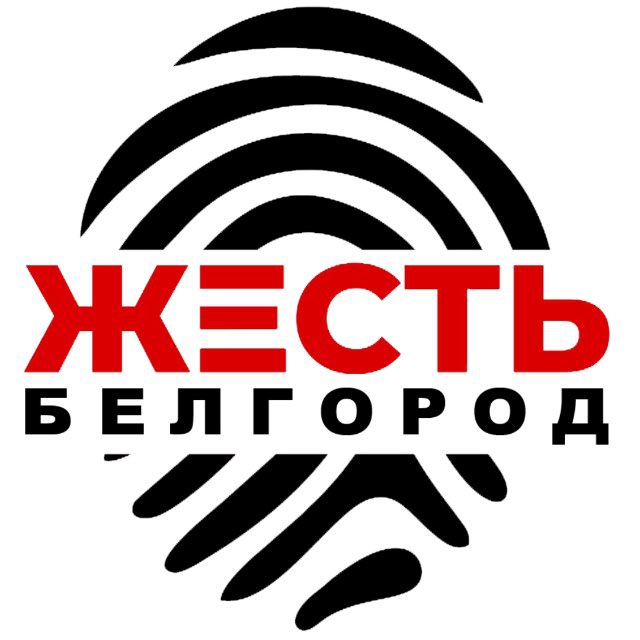 Аватар канала Жесть Белгород