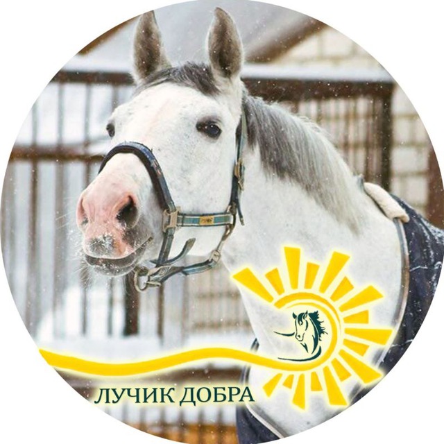 Аватар канала "Лучик Добра" детский конно-досуговый центр