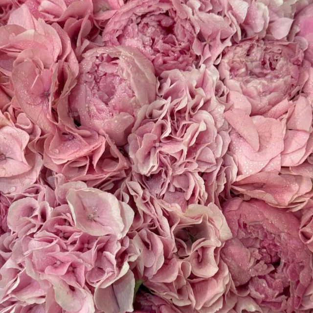 Аватар канала 𝐟𝐨𝐫 𝐲𝐨𝐮𝐫 𝐬𝐭𝐨𝐫𝐢𝐞𝐬💌