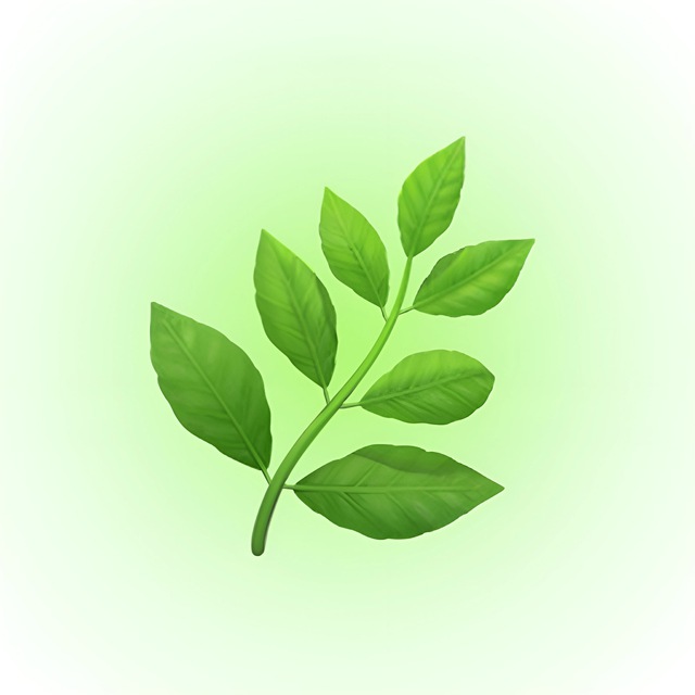 🌿Канал про здоровье