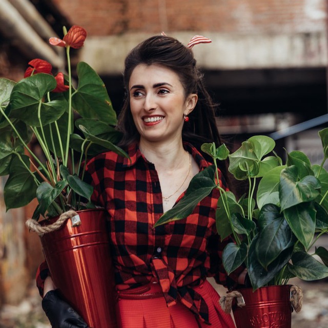 Аватар канала MyGreenDecor| Комнатные Растения