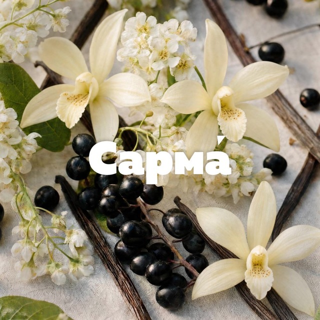 Аватар канала Сарма