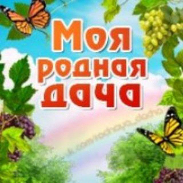 Аватар канала 🫛☘️Моя Родная Дача☘️🫛