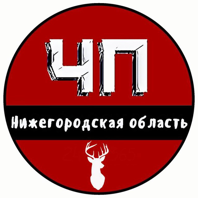 Аватар канала ЧП Нижний Новгород и Нижегородская область