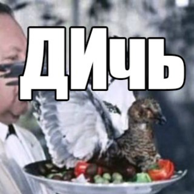 Аватар канала D-ch