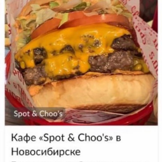 Аватар канала SPOT&CHOO’S