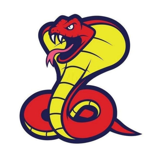Аватар канала Python работа