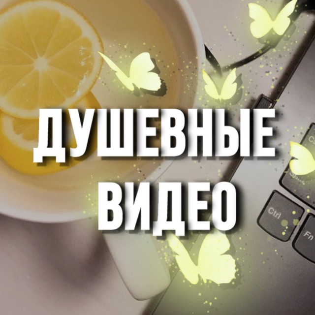 Аватар канала Душевные видео 🦋 Видео для сторис | Фоны
