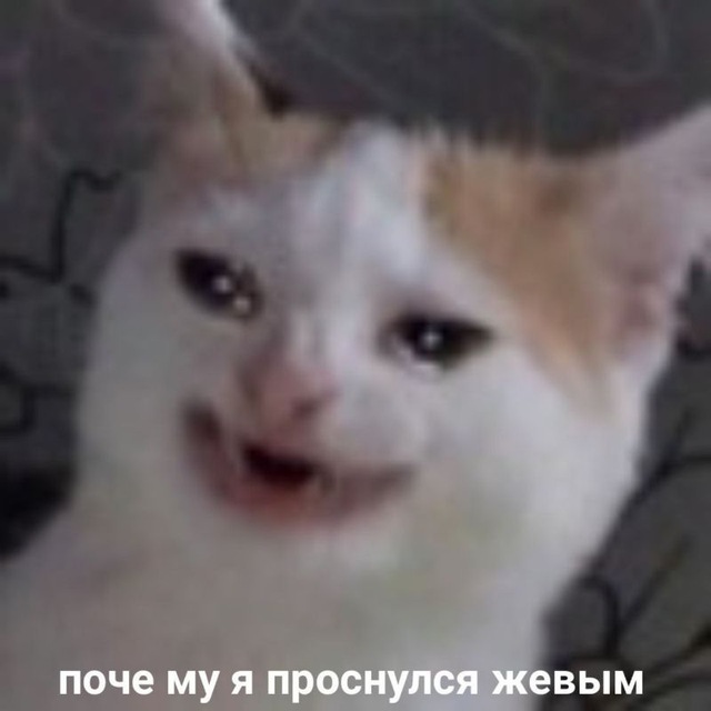 Аватар канала ради чего я живу