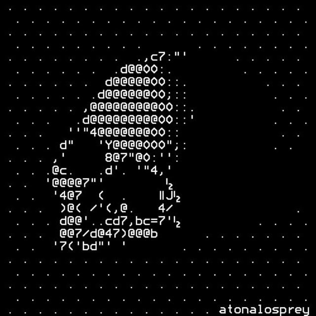 Аватар канала BACKDOOR