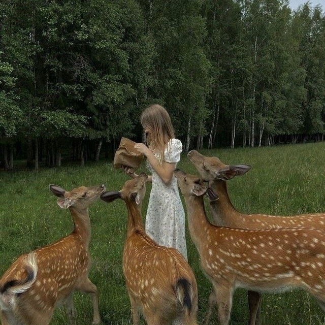 Аватар канала "🌒" appreciate