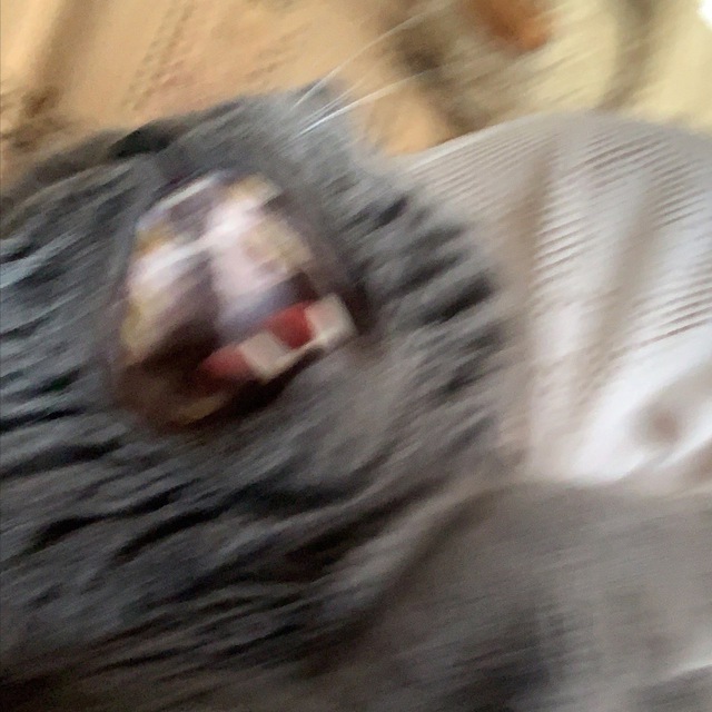 Аватар канала Караван Ахуительных Историй