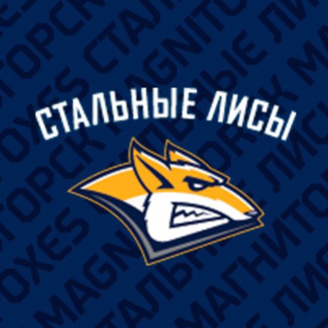Аватар канала МХК «Стальные Лисы»