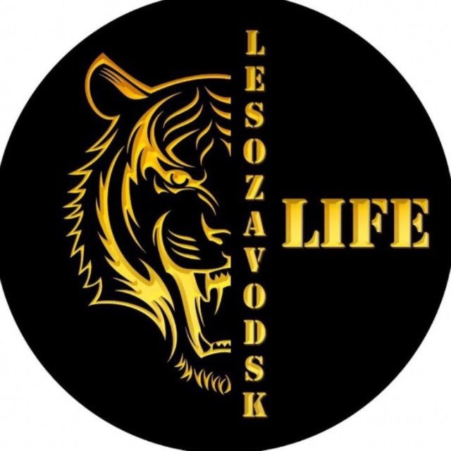Аватар канала 🟡 LESOZAVODSK LIFE