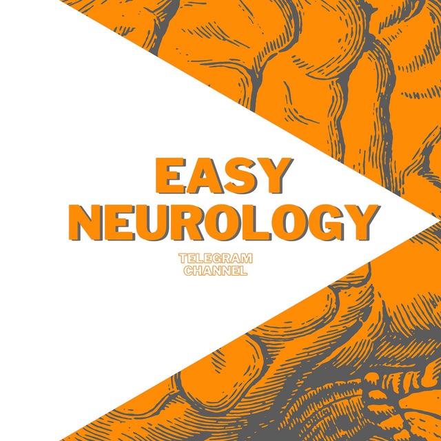 Аватар канала EasyNeurology