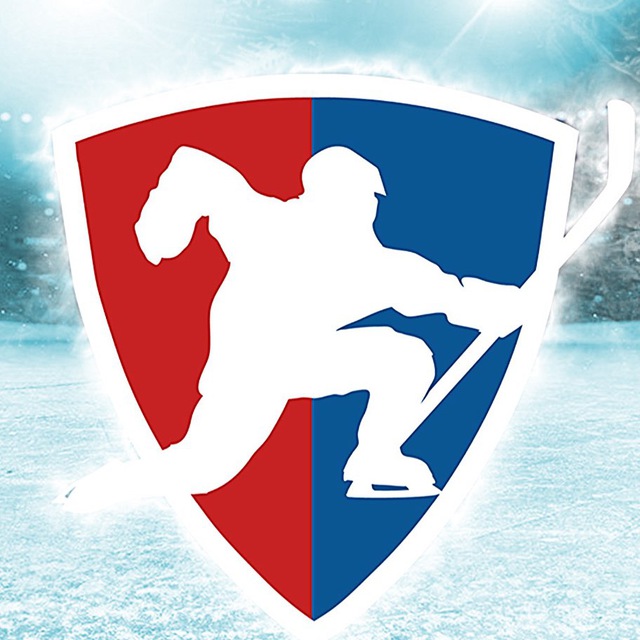 Аватар канала ХОККЕЙ ЗБС 🏒