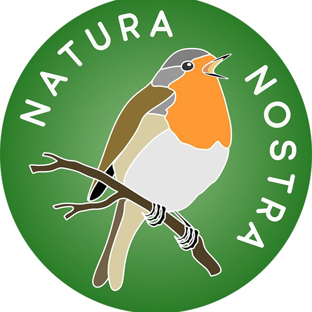 Аватар канала Онлайн-кружки Natura nostra ll Биология, химия, география