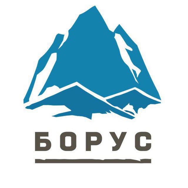 Аватар канала Борус