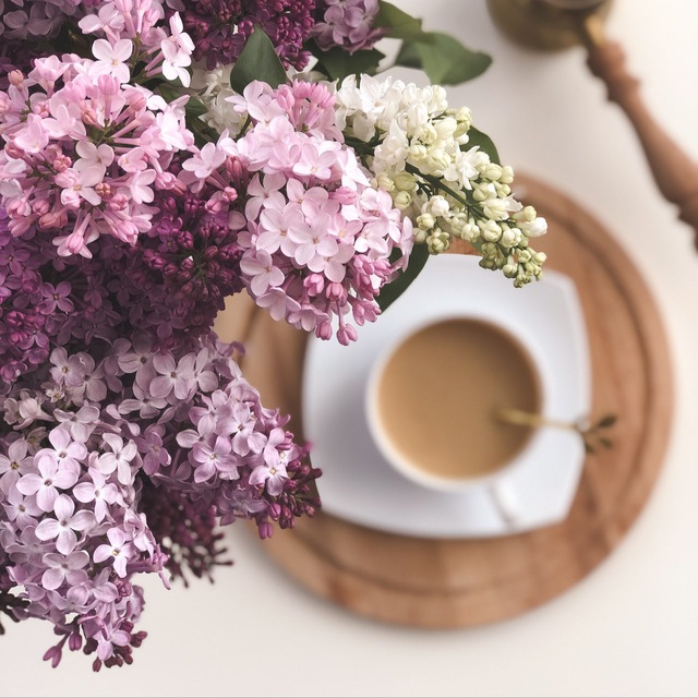 Аватар канала 🌸BLOOMING HOME 🌸