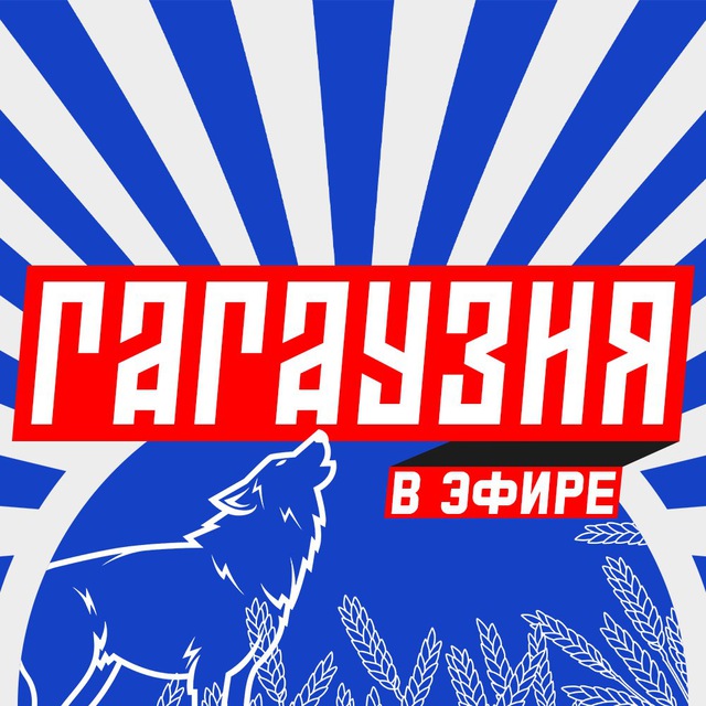 Аватар канала Гагаузия в эфире