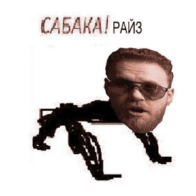 Аватар канала РАЙЗ ЛАВ Ю