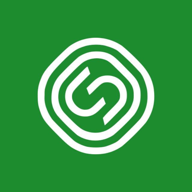 Аватар канала Segezha Group