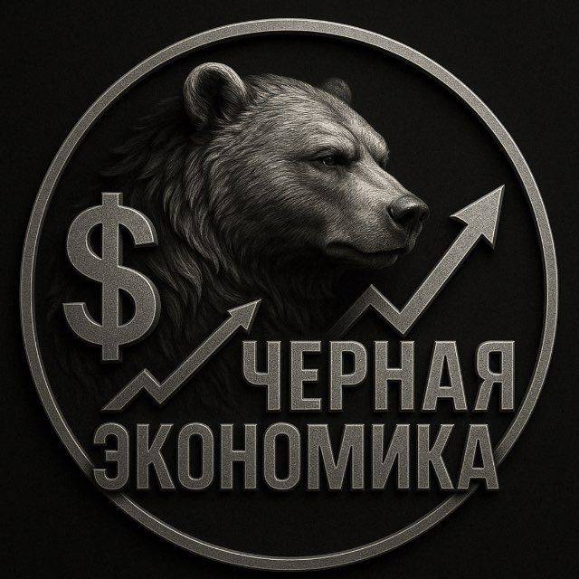 Аватар канала Черная Экономика | Бизнес