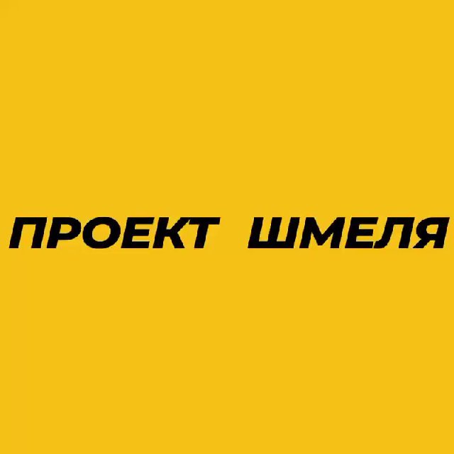 Аватар канала Проект Шмеля - Катя Конасова